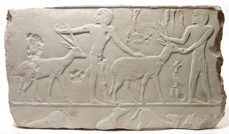 Egyptian limestone relief
