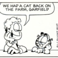 'Garfield' daily comic strips