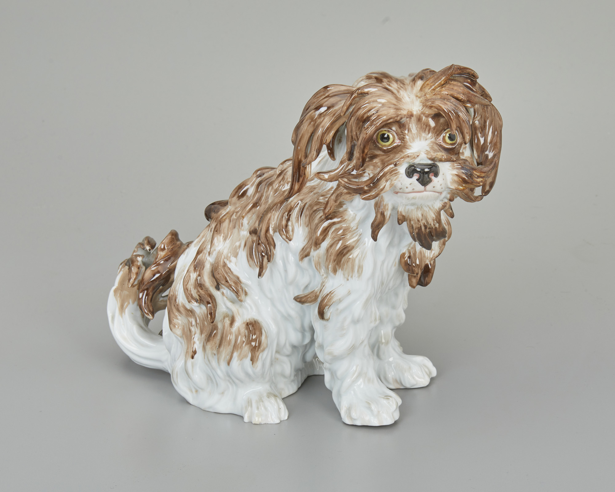 A Meissen Bologner Hund porcelain dog figure.