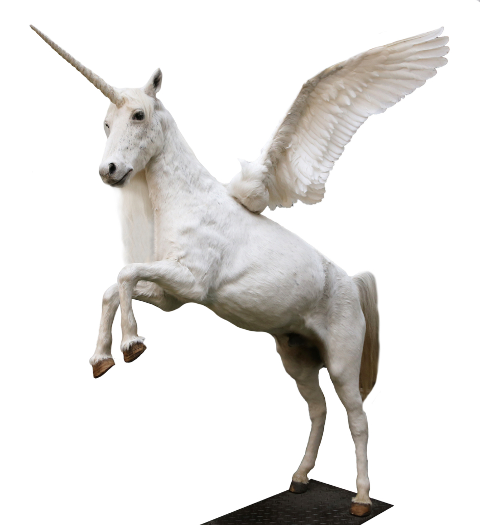 Fanciful items of taxidermy include a unicorn--a full-size rearing horse with mounted wings and horn