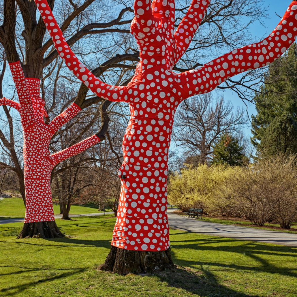 ‘Ascension of Polka Dots on the Trees,’ 2002/2021, installed at the New York Botanical Garden, collection of Yayoi Kusama. 