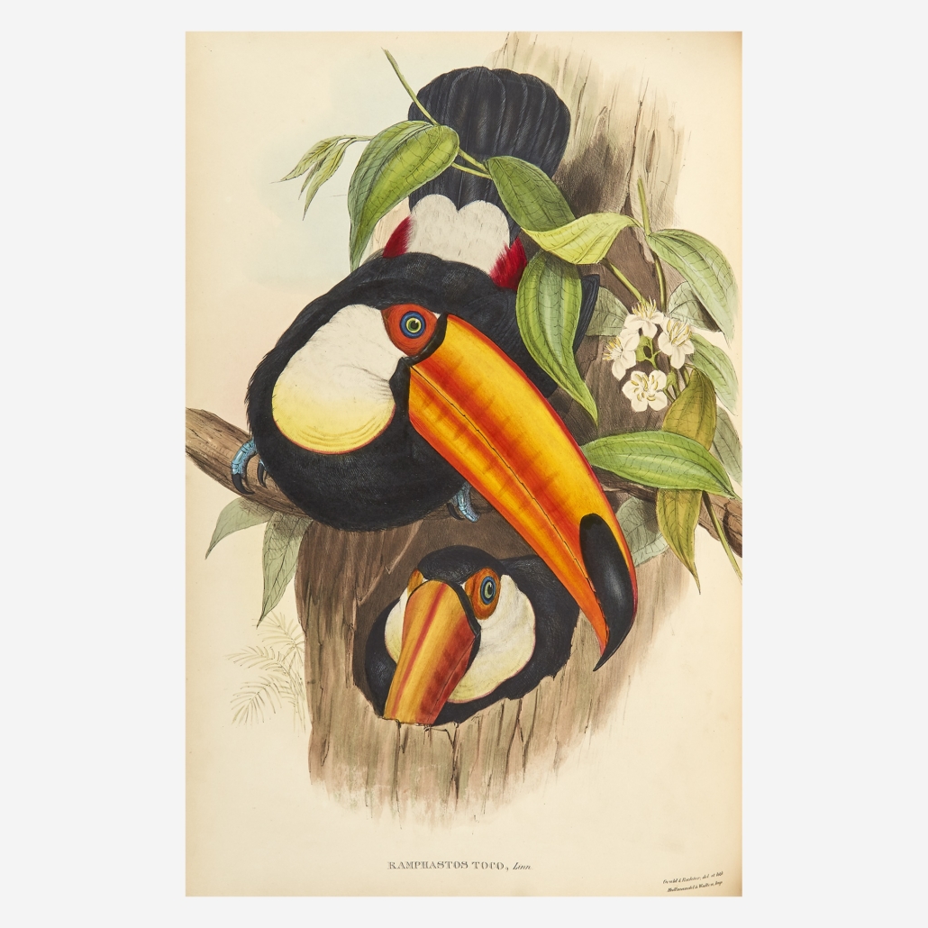Lithographic plate from John Gould’s monograph on toucans, estimated at $20,000-$30,000