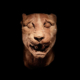 Greek marble panther head, estimated at $40,000-$60,000