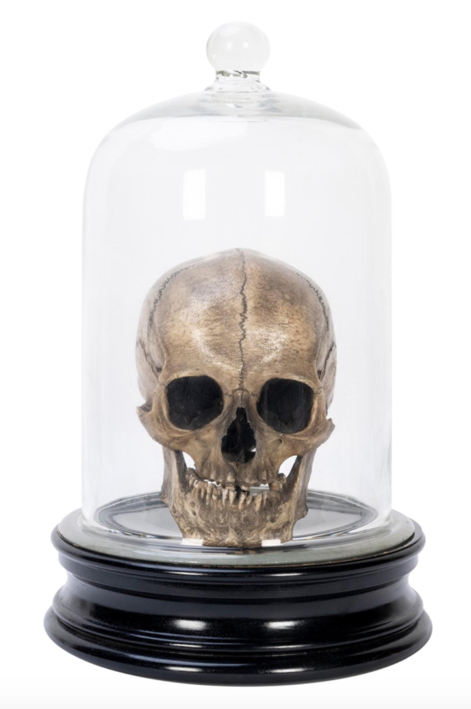 1920s-era animated skull made in Vienna by S. Klingl, which sold for $6,600