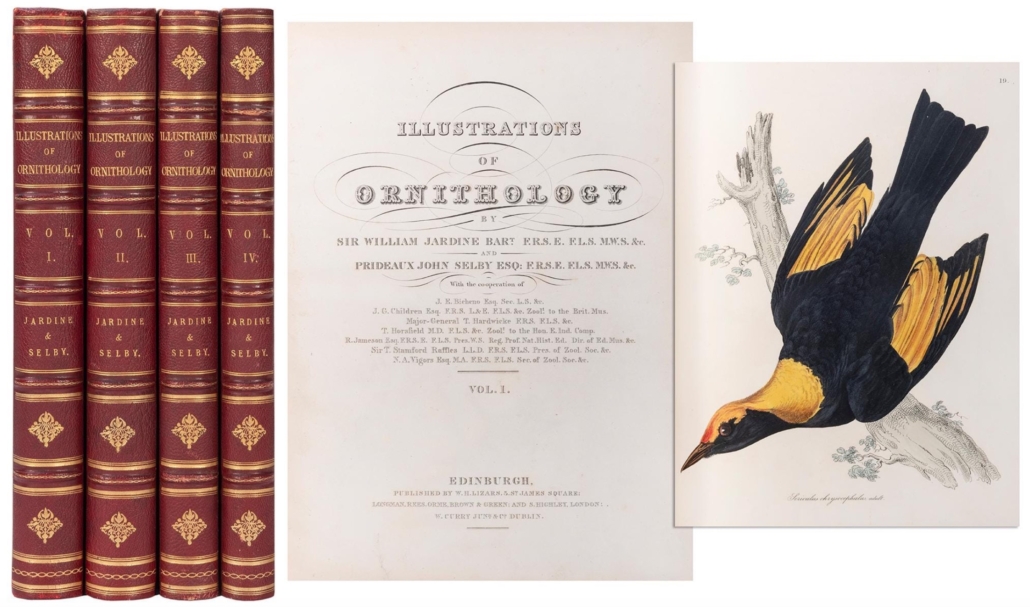 First edition, ‘Illustrations of Ornithology,’ est. $12,000-$15,000