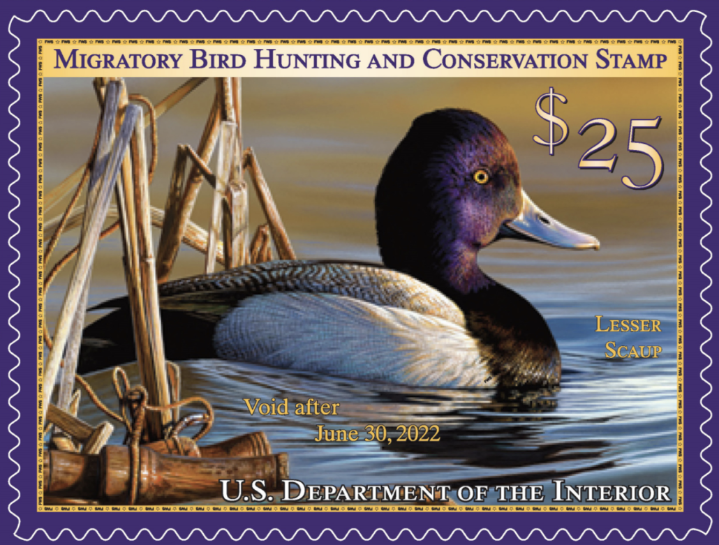 Federal Duck Stamp valid through June 2022; 200,000 were produced. Image courtesy of U.S. Fish & Wildlife Service