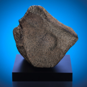 The Mars rock weighs 32 pounds and is formerly known as Taoudenni 002. Image courtesy of the Maine Mineral & Gem Museum.
