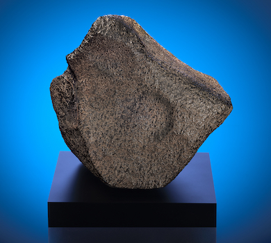 The Mars rock weighs 32 pounds and is formerly known as Taoudenni 002. Image courtesy of the Maine Mineral & Gem Museum.