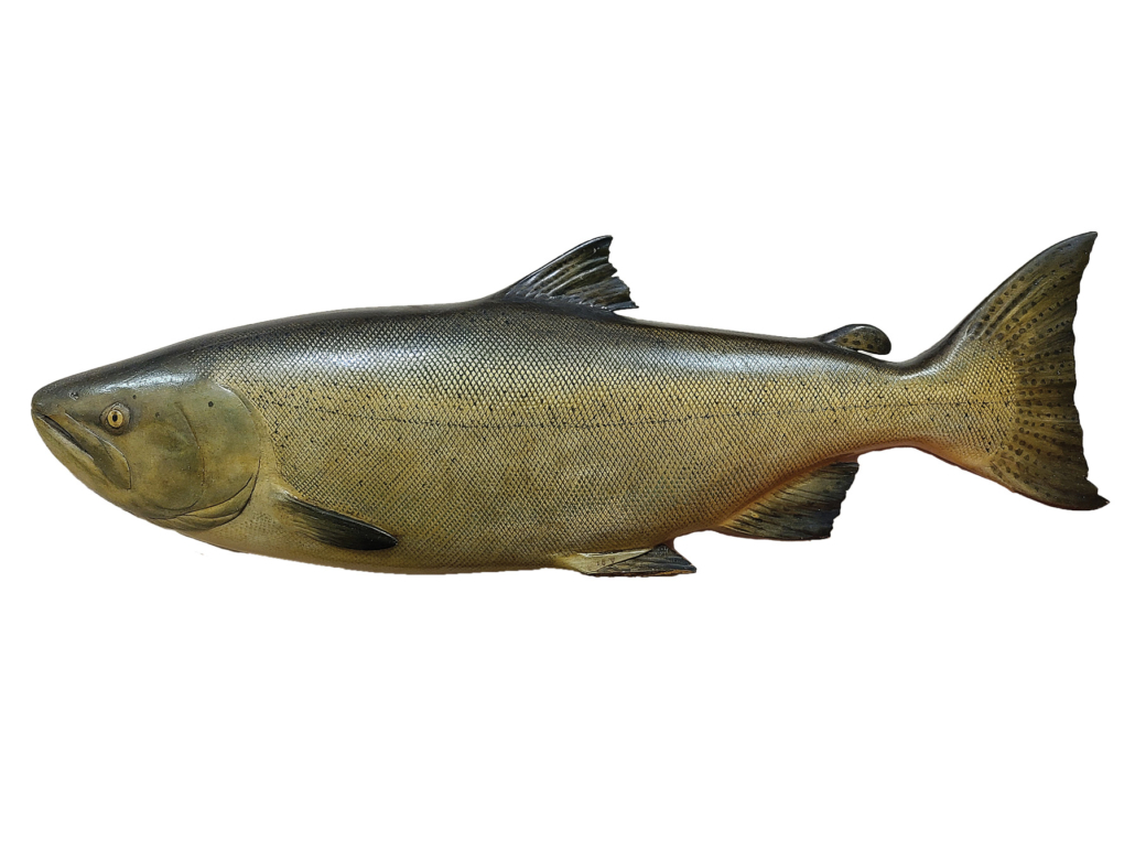 Chinook/Tyee salmon by Thomas “Tommy” Brayshaw, est. $20,000-$30,000