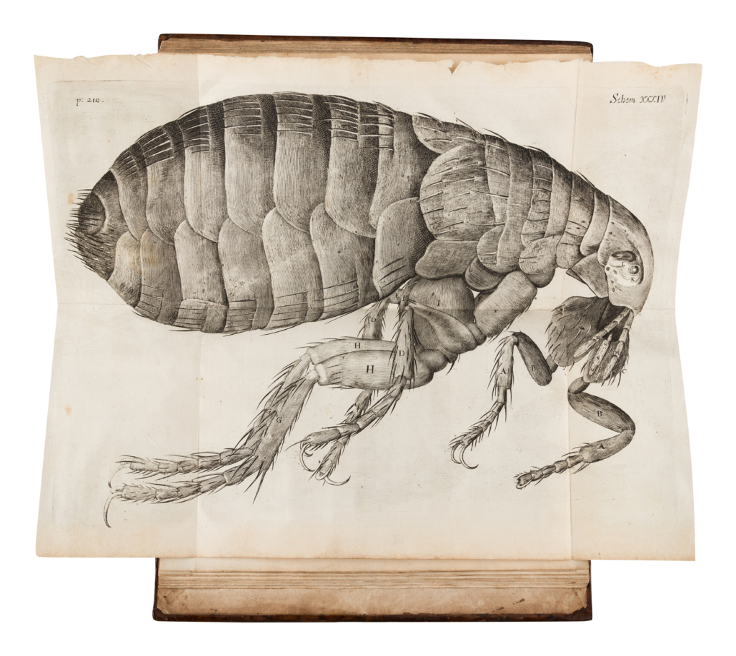 Robert Hooke, ‘Micrographia: Or Some Psychological Descriptions of Minute Bodies Made by Magnifying Glasses, est. $12,000-$18,000