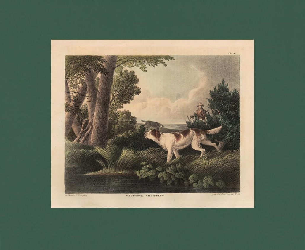 Hand-colored plate from Volume 1 of John and Thomas Doughty's Cabinet of Natural History and American Rural Sports, featuring a woodcock-shooting scene, est. $250-$300