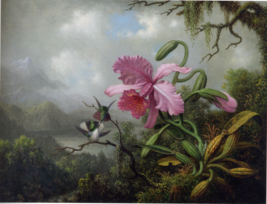 Martin Johnson Heade, 1819–1904, ‘Orchid and Hummingbirds Near a Mountain Lake,’ c. 1875–90 oil on canvas, 15 3/16 in by 20 1/2 in. Image courtesy of the McMullen Museum of Art