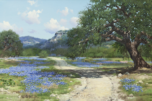Texas bluebonnets in bloom at Dallas Auction Gallery, March 2