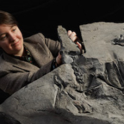 Natalia Jagielska, a doctoral student at the University of Edinburgh, pictured with the pterosaur fossil at its unveiling. Jagielska authored a scientific paper describing the find. Image courtesy of the National Museum of Scotland. Photo credit: Stewart Attwood