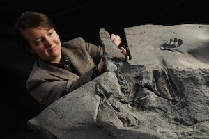&#8216;Superbly preserved&#8217; pterosaur fossil unearthed in Scotland