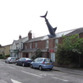 An Oxford, England house with a sculpture of a shark sticking out of its roof has received protected landmark status, to the dismay of the home’s owner. Image courtesy of Wikimedia Commons. Attribution: The shark at Headington by Gareth James. Shared under the Creative Commons Attribution-Share Alike 2.0 Generic license.