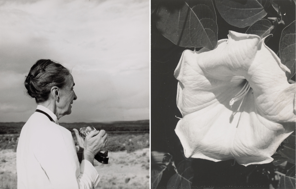 Left, Todd Webb, ‘Georgia O’Keeffe with Camera,’ 1959, printed later, inkjet print, Todd Webb Archive. © Todd Webb Archive, Portland, Maine. Right, Georgia O'Keeffe, ‘Jimsonweed (Datura stramonium),’ 1964–68, black-and-white Polaroid, Georgia O’Keeffe Museum, Santa Fe. © Georgia O’Keeffe Museum 