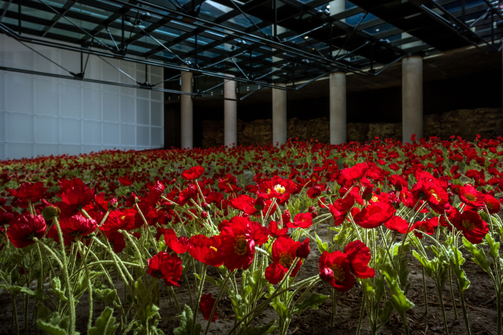 A display of poppies, which have become a symbol for those who died in World War I, at the National WWI Museum and Memorial. Image courtesy of the National WWI Museum and Memorial