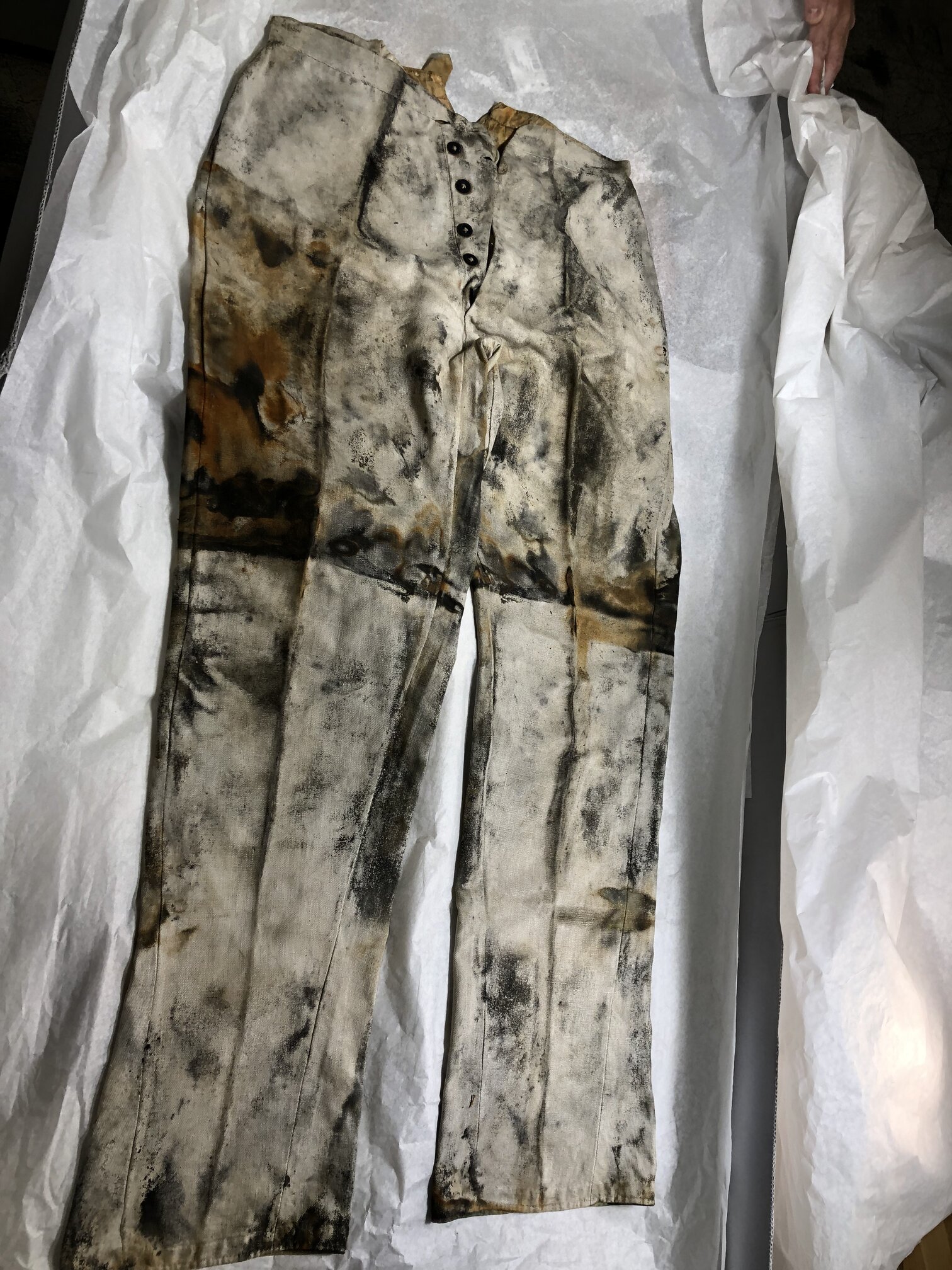 This pair of San Francisco Gold Rush jeans, recovered from the wreck of the SS Central America, is the oldest known example of its kind and may have been made by Levi Strauss in his early years in business. Photo credit: Holabird Western Americana Collections.