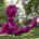 On June 28, Christie’s sold Jeff Koons’s sculpture ‘Balloon Monkey (Magenta)’ for £10.1 million (about $12.3 million), with the funds going to support Ukrainians wounded in the ongoing invasion. Image courtesy of Christie’s Images Ltd. 2022