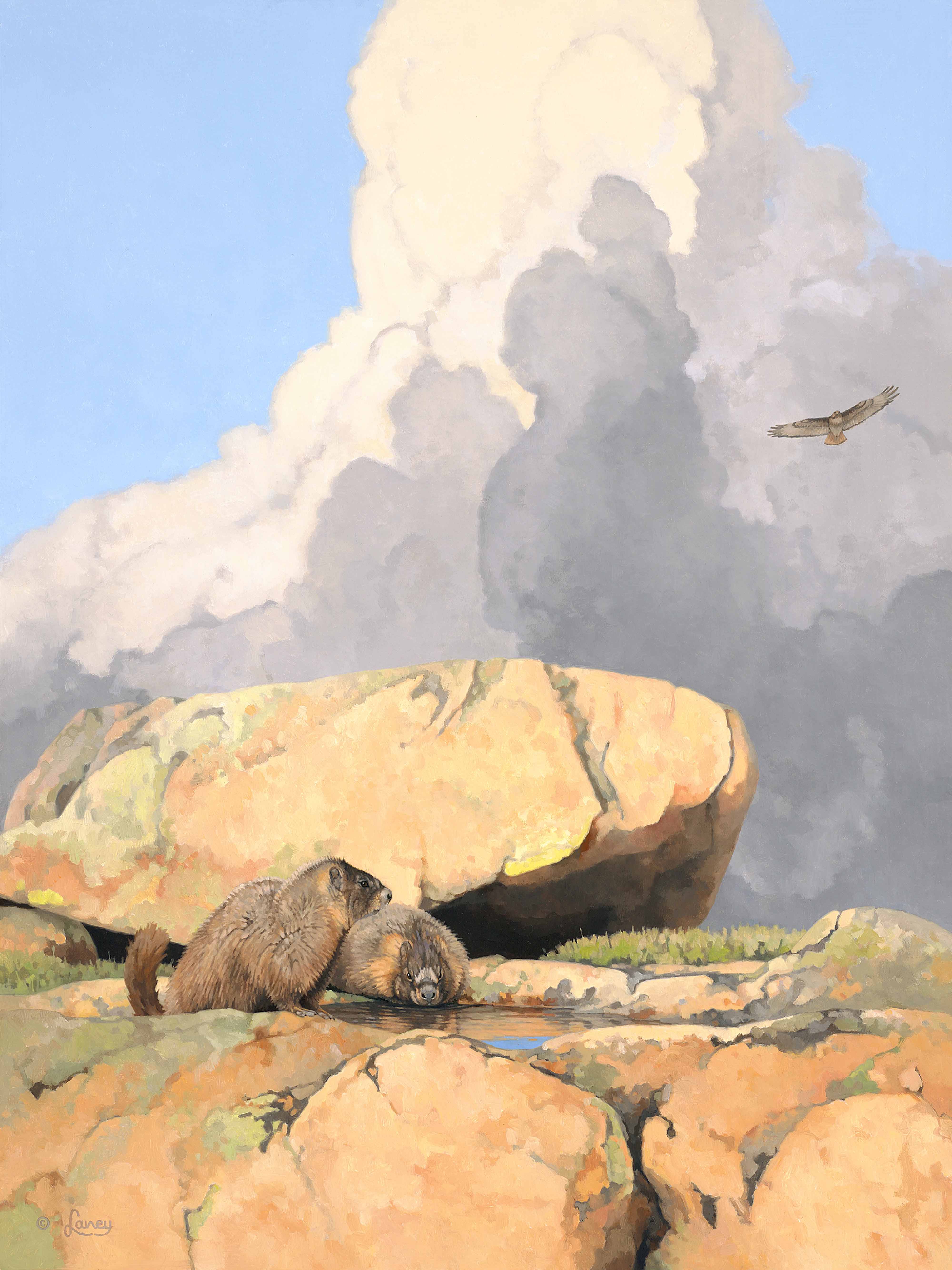 Laney, ‘Alpine Rainwater,’ 2012. Oil on gesso board, 24 by 18in. Image courtesy of the National Museum of Wildlife Art