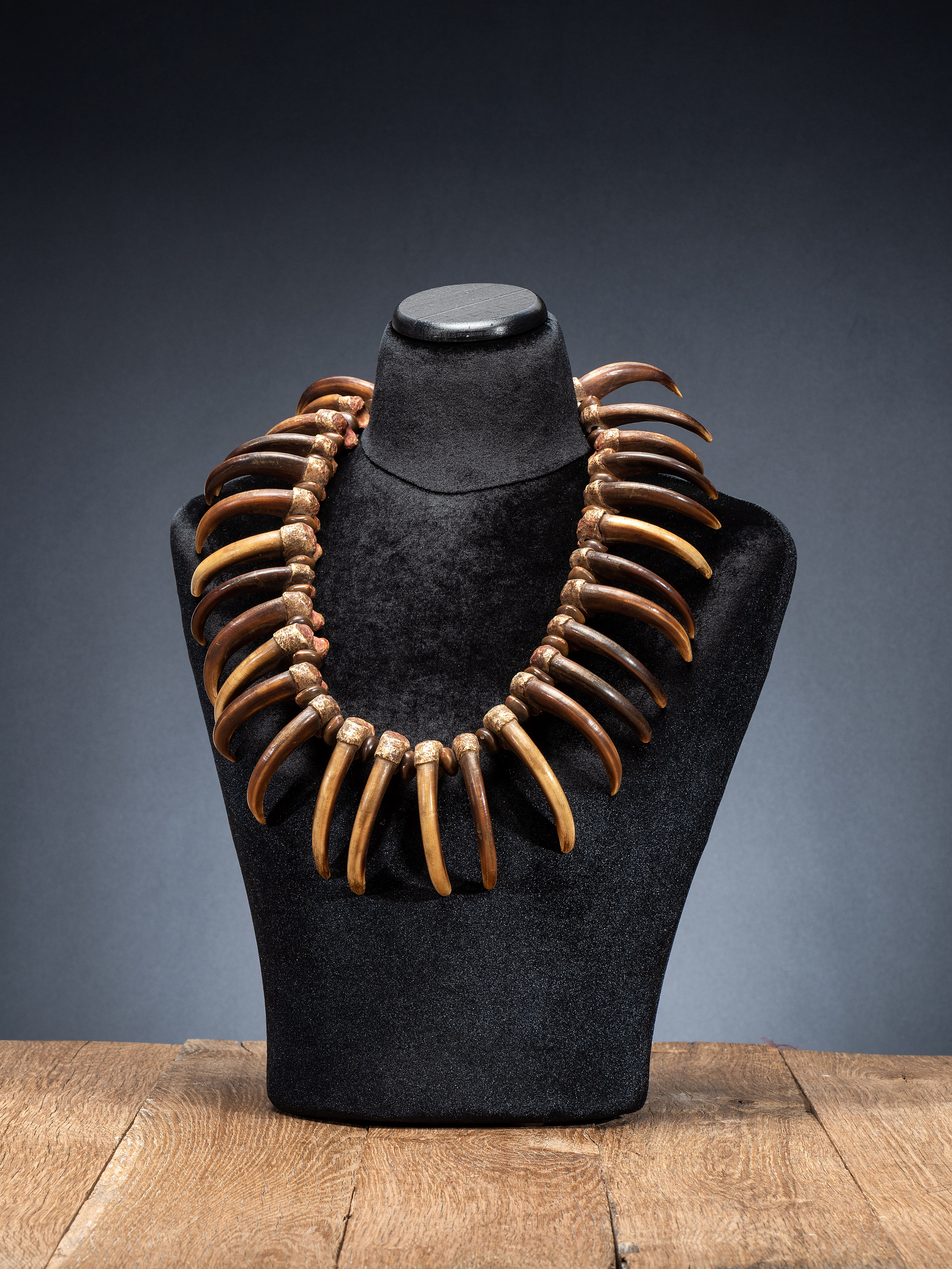 Sioux Grizzly Bear claw necklace, $75,000