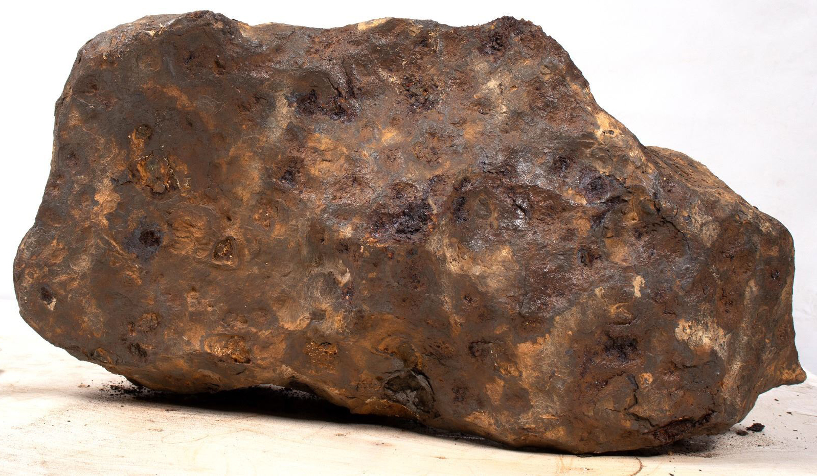 Iron-nickel meteorite found in China in 1958 and believed to have fallen to Earth in 1516, $4,125