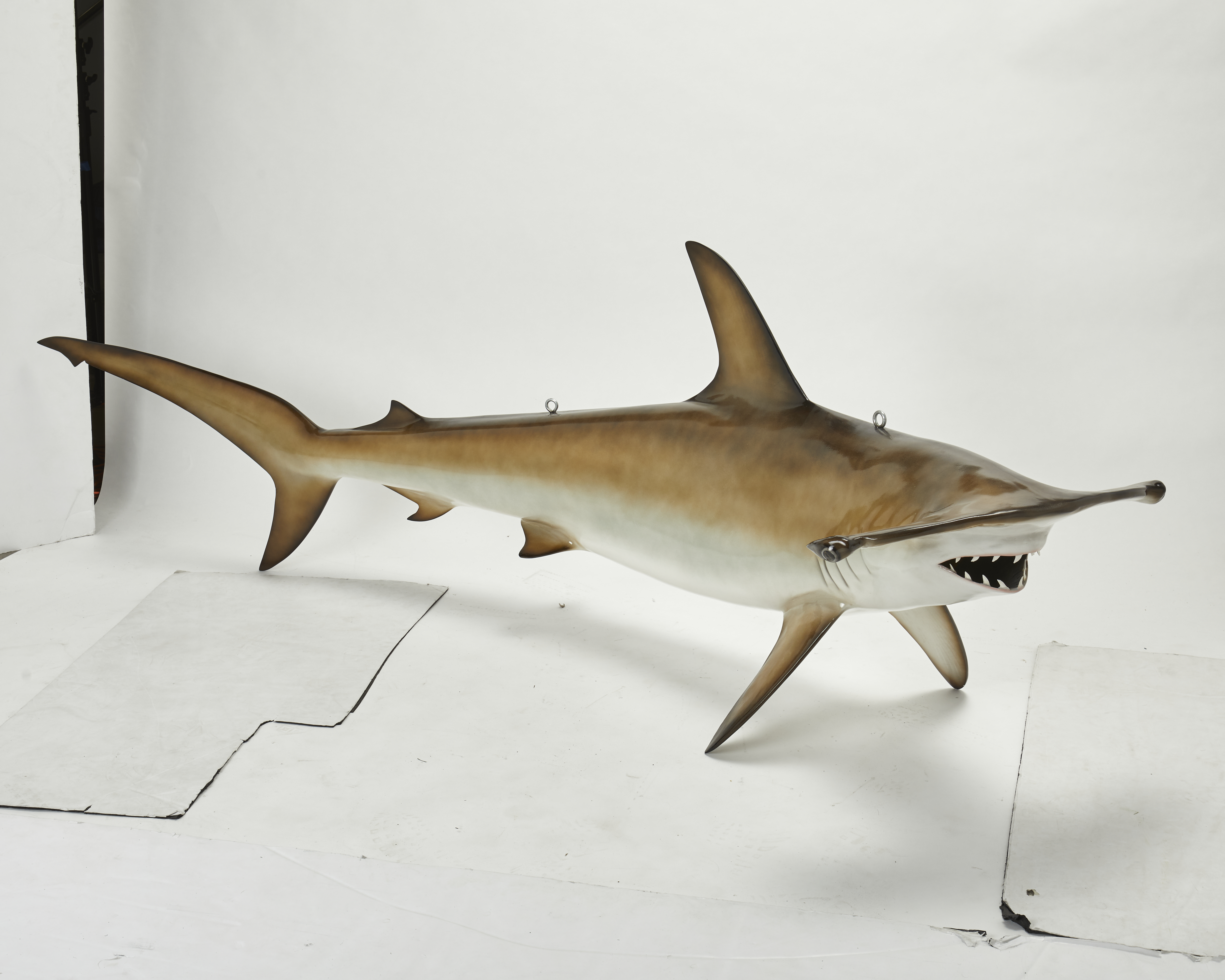 Todd Michael Guevara Hammerhead shark painted fiberglass sculpture, est. $600-$800