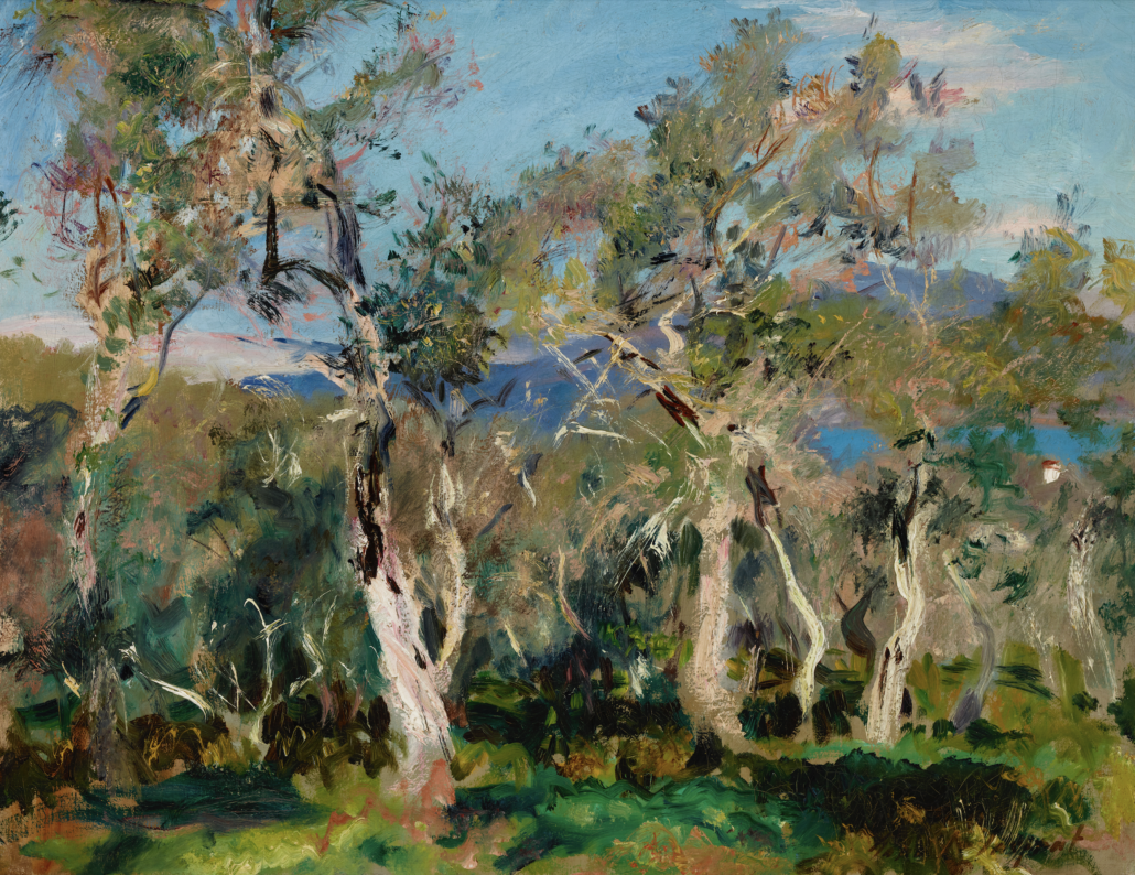 John Singer Sargent (American, 1856–1925), ‘Olives at Corfu,’ 1909. Oil on canvas. Promised Gift of the Macon and Joan Brock Collection to the Chrysler Museum of Art