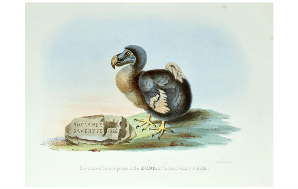 Plate from ‘The Dodo and its Kindred; Or The History, Affinities, and Osteology of the Dodo, Solitaire, and Other Extinct Birds of the Islands Mauritius, Rodriguez, and Bourbon,’ est. $1,500-$2,500