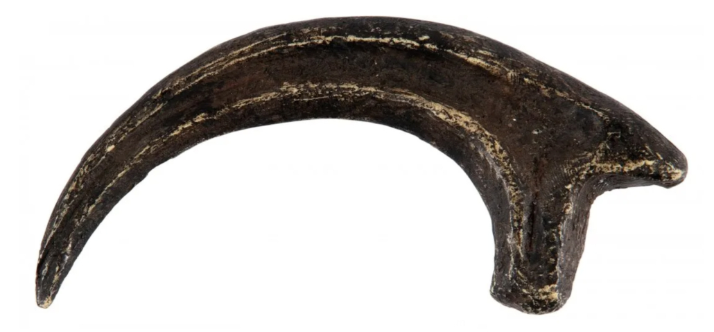 A painted cast resin velociraptor prop claw from the 1993 film ‘Jurassic Park’ sold for $17,000 plus the buyer’s premium in November 2021. Image courtesy of Heritage Galleries and LiveAuctioneers.