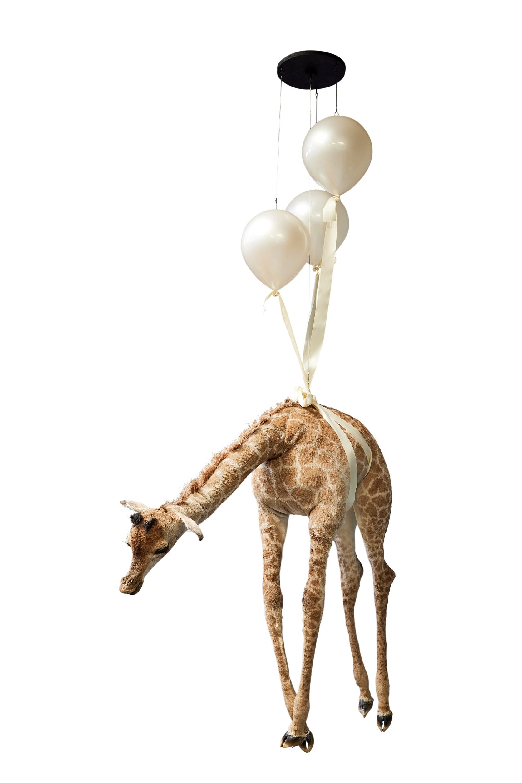 Simon Wilson, ‘Floating Giraffe,’ est. £3,000-£5,000