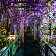 Setting from Monet’s Garden: The Immersive Experience, which will open in New York City on November 1. Image courtesy of DKC O&M