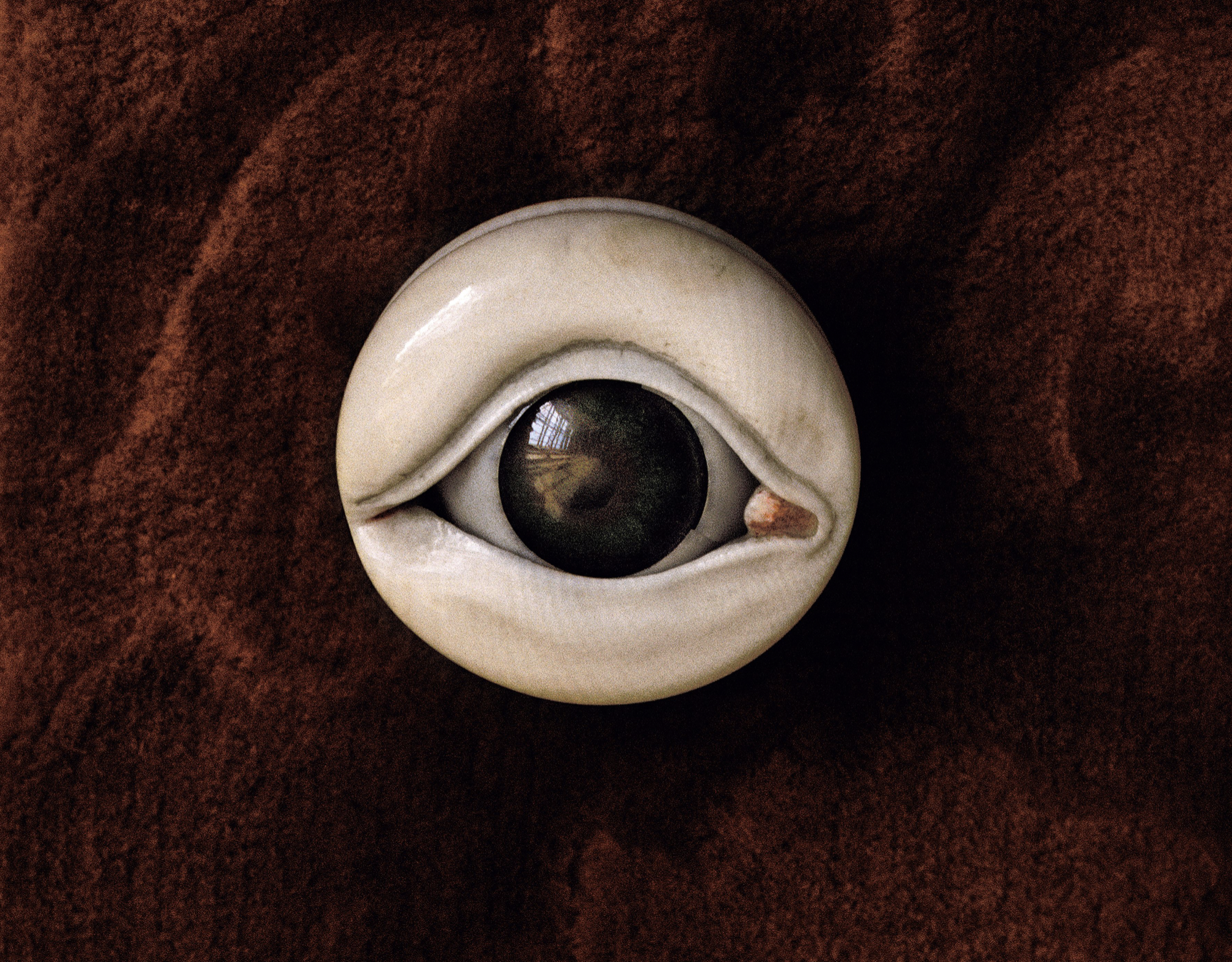 Rosamond Purcell, ‘Eye Made of Glass, Antler Bone, and Metal, Collection of Peter the Great, Kunstkamera, St. Petersburg, circa 1990. Inkjet print, dimensions variable. Courtesy of the artist. © Rosamond Purcell