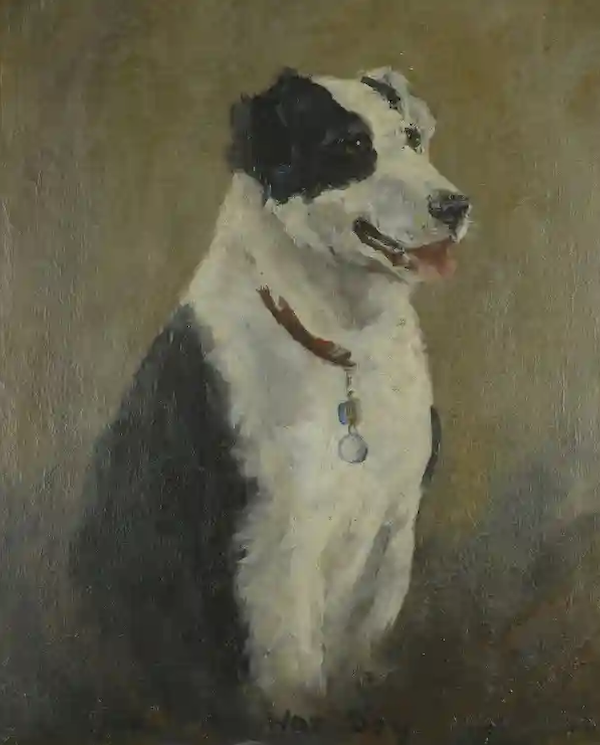 Portrait of War Dog Rob, a black-and-white collie retriever who completed 20 parachute jumps during World War II and became the only British canine to earn both the P.D.S.A Dickin Medal for Gallantry and the R.S.P.C.A. Red Collar for Valour. The portrait, both medals and an extensive archive on War Dog Rob will be auctioned October 12. Image courtesy of Noonans and LiveAuctioneers