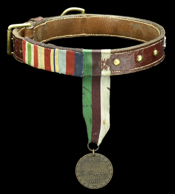 Medals and an extensive archive for War Dog Rob, the only British canine who earned the P.D.S.A Dickin Medal for Gallantry and the R.S.P.C.A. Red Collar for Valour for his service during World War II, will be auctioned on October 12 with an estimate of £20,000-£30,000. Image courtesy of Noonans and LiveAuctioneers