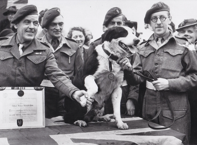 Period photo of War Dog Rob and his human colleagues. An archive of material about the heroic canine, the only War Dog to earn the P.S.D.A. Dickin Medal for Gallantry and the R.S.P.C.A Red Collar for Valour, achieved a hammer price of £140,000 (about $155,000) against an estimate of £20,000-£30,000 in London on October 12. Image courtesy of Noonans and LiveAuctioneers