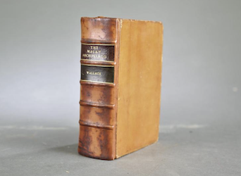 Distinguished ecologist&#8217;s library featured Nov. 29 at Quinn&#8217;s Rare Books auction