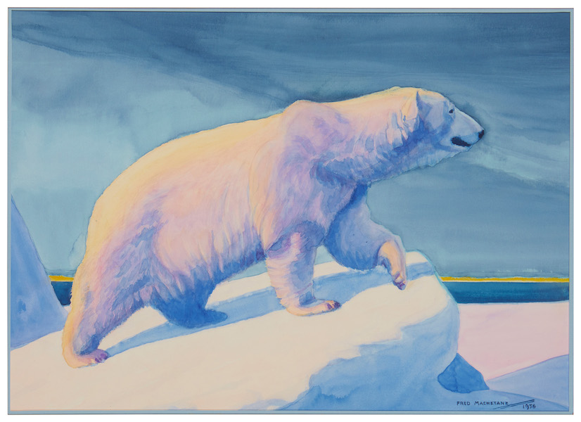 Fred Machetanz, ‘Monarch of the Arctic,’ $7,500 