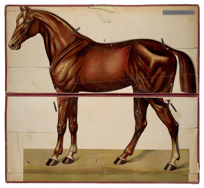 One of several works in the Fries collection of antique pop-up books, estimated at €30,000-€60,000