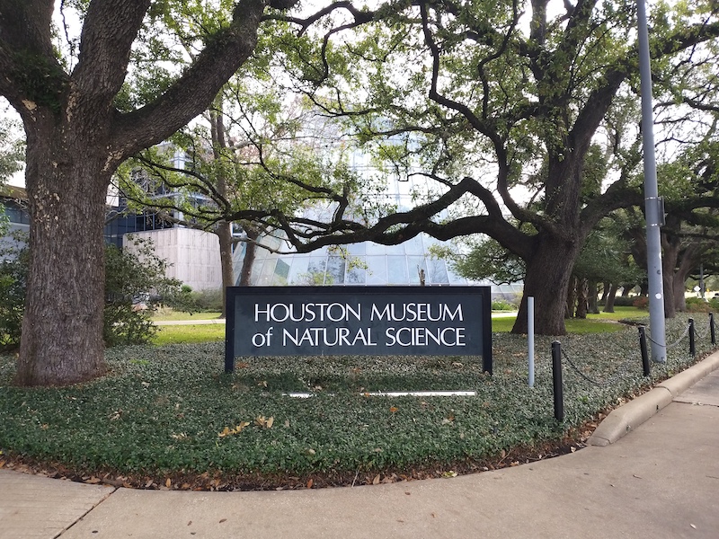 Exterior of the Houston Museum of Natural Science, photographed in January 2021. On January 2, Egyptian officials said an ancient wooden sarcophagus that had been featured at the museum was returned to Egypt after U.S. authorities realized it had been looted. Image courtesy of Wikimedia Commons, photo credit WhisperToMe. Shared under the Creative Commons CC0 1.0 Universal Public Domain Dedication.