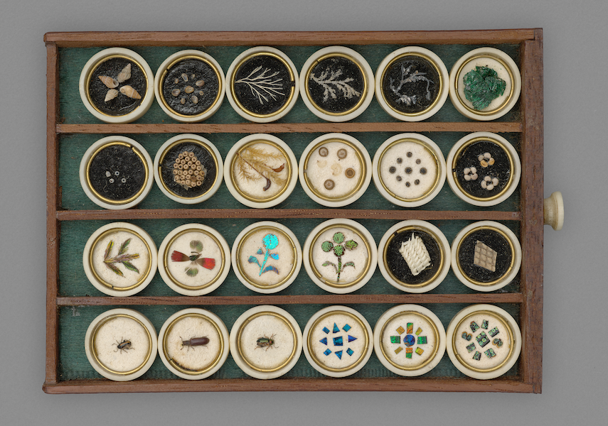 Set of 24 microscope slides (signed: “AYpelaar & comp”), Netherlands, circa 1808–11. Brass, glass, ivory, mahogany, natural specimens, and a handwritten inscription in brown ink. Yale Peabody Museum of Natural History, the Lentz collection 