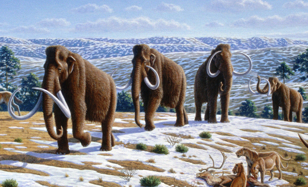 Circa-2004 illustration of a group of woolly mammoths in a late Pleistocene landscape in northern Spain. Treasure hunters, encouraged by a tip given during a December 2022 episode of Joe Rogan’s podcast, are plumbing the depths of New York City’s East River in search of woolly mammoth tusks and bones that were allegedly dumped there in the 1940s. Image courtesy of Wikimedia Commons, author Mauricio Anton. © 2008 Public Library of Science. Shared under the Creative Commons Attribution 2.5 Generic license.