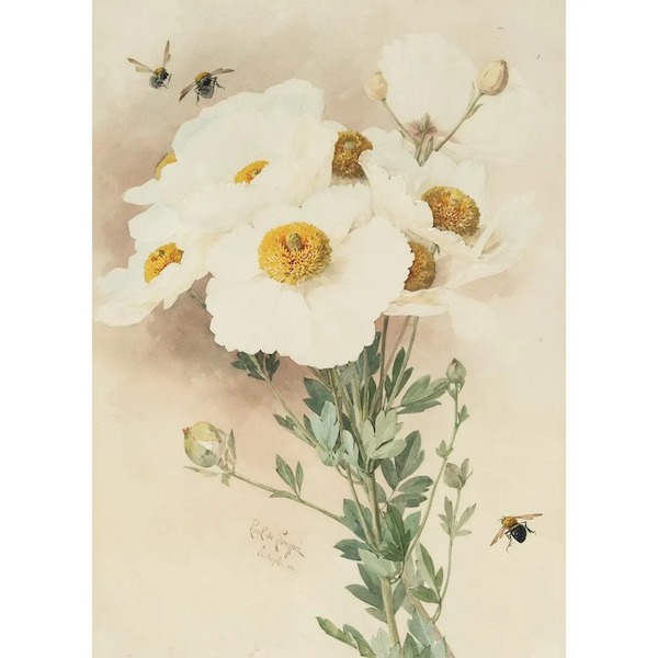 Paul de Longpre, ‘Matillija Poppies and Bees,’ $9,225