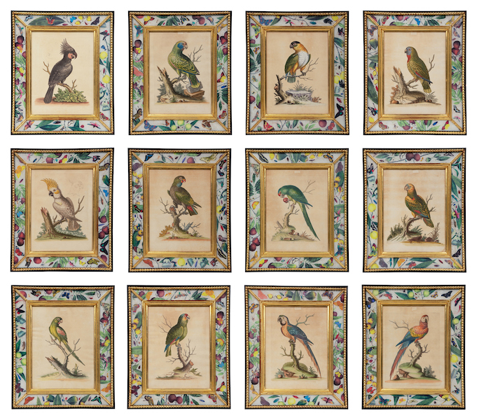 Set of 12 hand-colored engravings depicting parrots from George Edwards’ book ‘A Natural History of Uncommon Birds,’ estimated at $6,000-$8,000. Image courtesy of Hindman