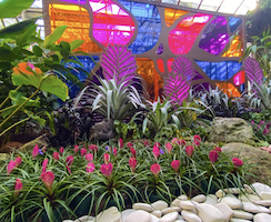 Florida exhibition brings Tiffany&#8217;s botanical designs to garden setting