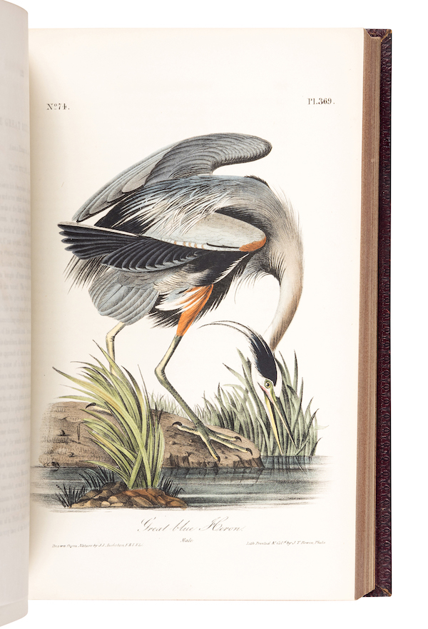 John James Audubon, ‘The Birds of America,’ first octavo edition presentation copy inscribed by Audubon, estimated at $40,000-$60,000. Image courtesy of Hindman