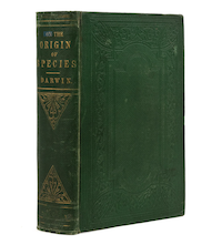 1st edition Origin of Species from Darwin&#8217;s grandson on top shelf at Doyle, May 11