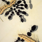 Salvador Dali, ‘Les Fourmis (Ants),’ circa 1936. Gouache on tinted paper, 25 ¾ by 19 ½in. Collection of the Dali Museum, St. Petersburg, Fla. (USA). In the USA: © Salvador Dali Museum, Inc., St. Petersburg, Fla., 2022 / Worldwide : ©Salvador Dali, Fundacio Gala-Salvador Dali, (ARS), 2022