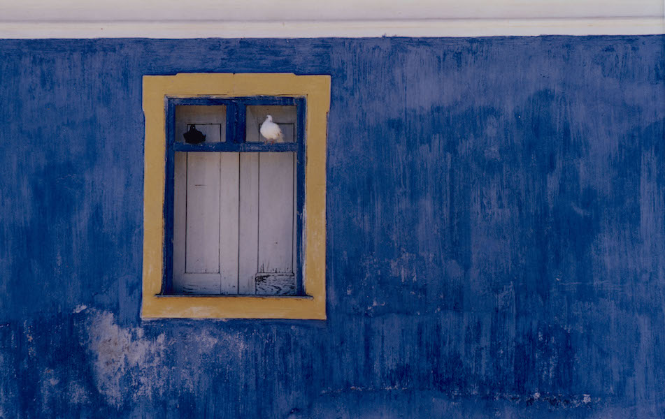 Jay Maisel, ‘Blue Wall with Doves, jun 1972,’ dye transfer print, 14 5/8 by 21 7/8in. Gift of the artist for the Ernst Haas memorial collection, 1998.73. Image courtesy of the Portland Museum of Art, Portland, Maine